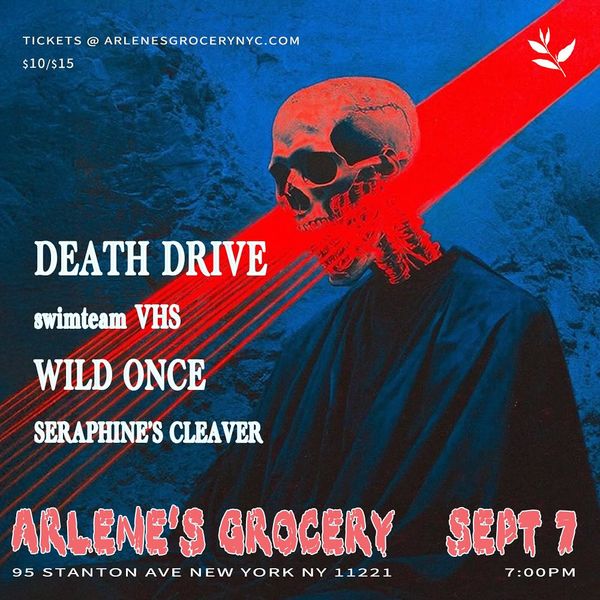 DEATH DRIVE, Swimteam VHS, WILD ONCE, and SERAPHINE'S CLEAVER